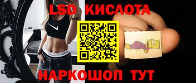 гашик Бузулук
