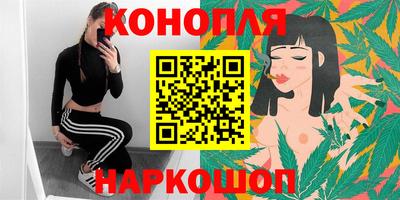 индика Будённовск