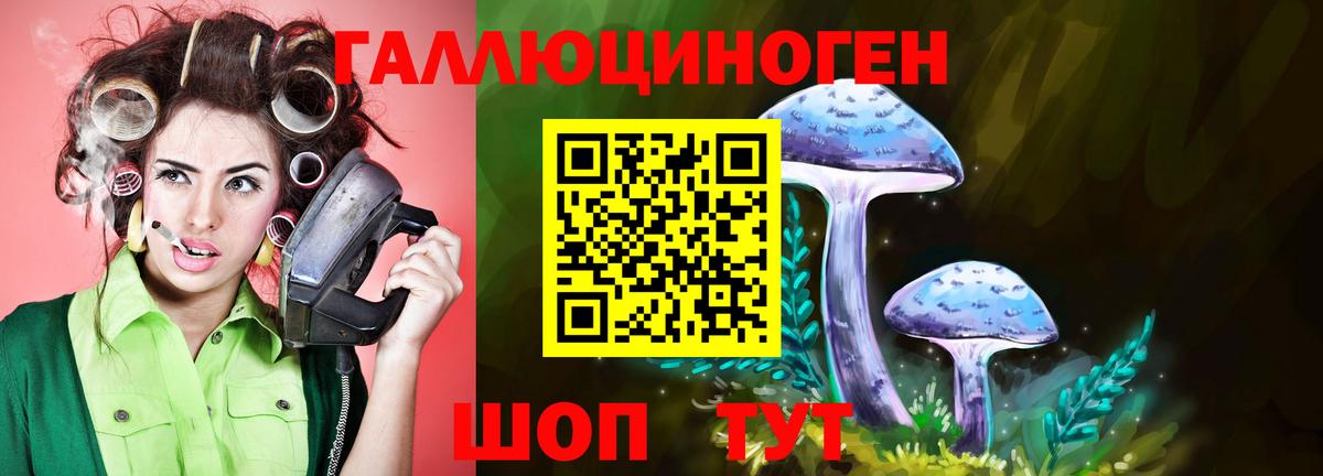 Богородск  Галлюциногенные грибы прущие грибы  Вход с VPN 