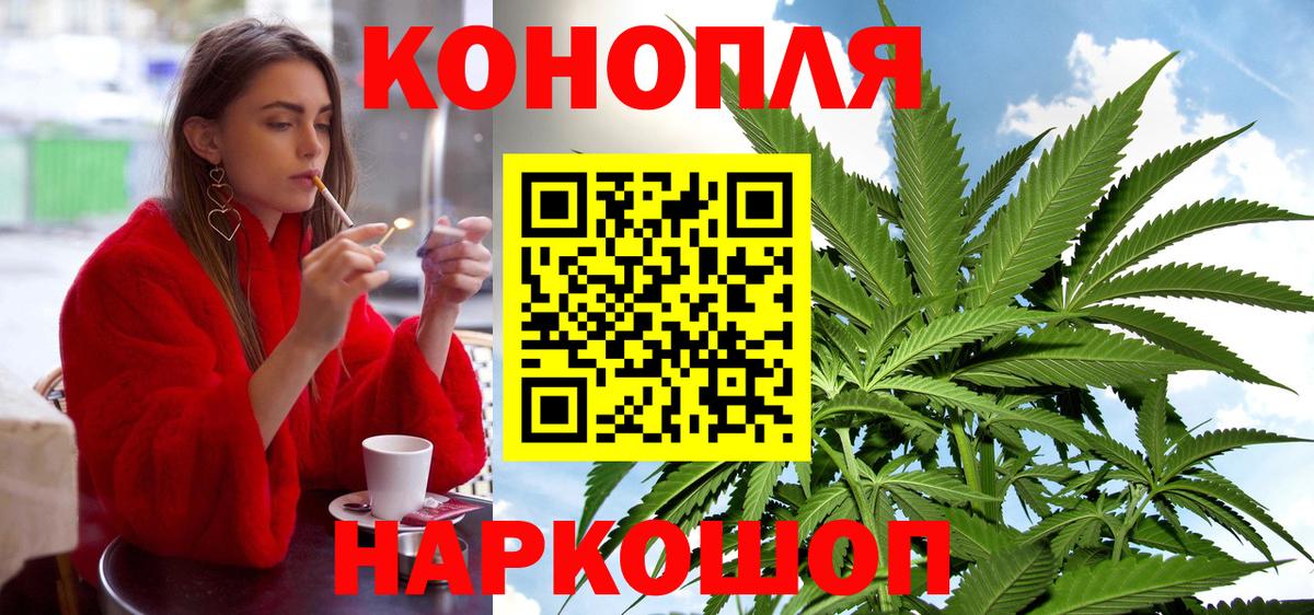 Канабис сатива Богородск